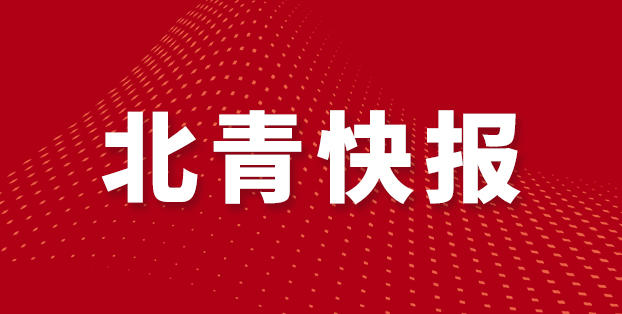 yid, 标准 yid, 标准