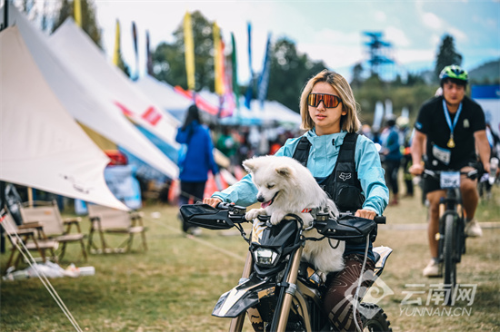 累计吸引超, 限公司执行